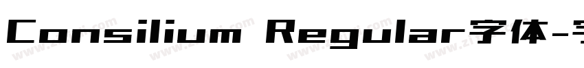 Consilium Regular字体字体转换